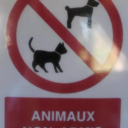 Oasis Bora Bora 4 Personnes Camping Pamiers