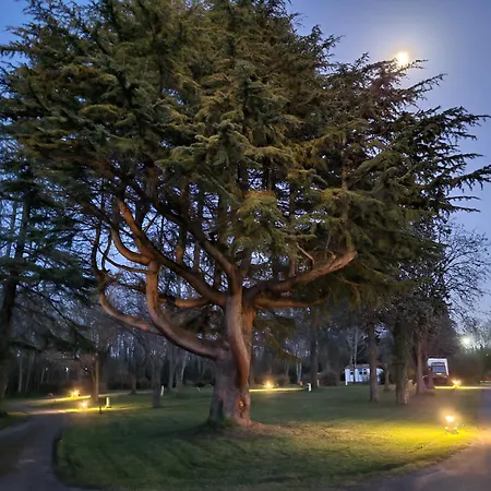 Camping Oasis Bora Bora 4 Personnes Pamiers